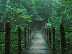 -凤栖山
