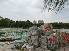 -太阳宫公园