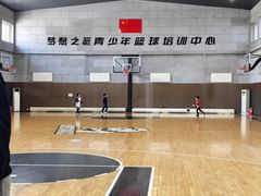 -梦想之巅·青少年篮球·羽毛球·培训中心(西站店)