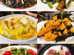 -南海鸽天下(肇庆店)