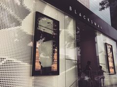 -BLACKSWAN黑天鹅(环球店)