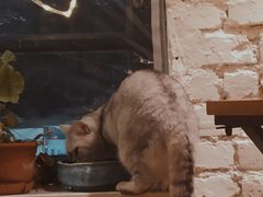 -不舍昼夜咖啡馆