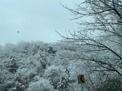 -溪口-滕头旅游景区