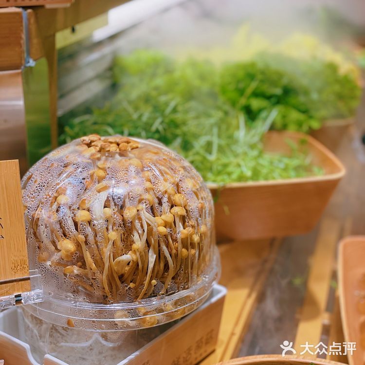 给新的一年带来满满好运!一绪金鯱墙