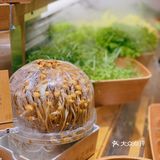 给新的一年带来满满好运！一绪金鯱墙
