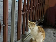 -吾悦广场(南京鼓楼店)