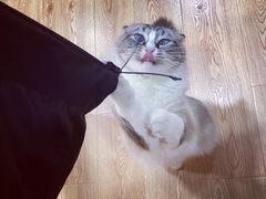 -白兔子密室(长寿路店)