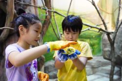 -宝燕乐园(闵行旗舰店)