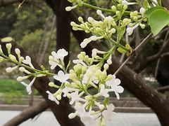 -刘妈菜馆(磁器口店)