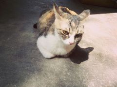 -五月木作·DIY木作文创体验店(北京路店)