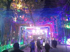 -哈尔滨文化公园