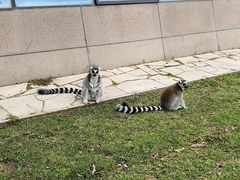 -鄂尔多斯野生动物园