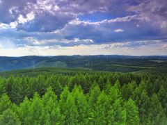 -塞罕坝国家级自然保护区