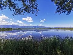 -野鸭湖国家湿地公园