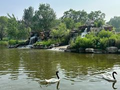 -北京野生动物园