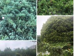 -团结湖公园