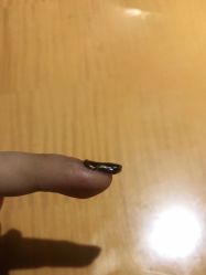 -好看加白色房子