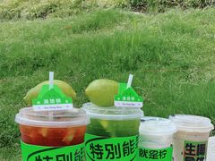 -Yes Lemon就是柠·手打柠檬茶(油坊桥店)