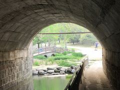 -白水寺森林公园