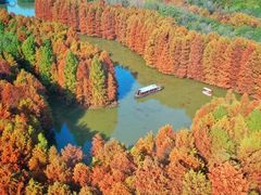 -上海海湾国家森林公园