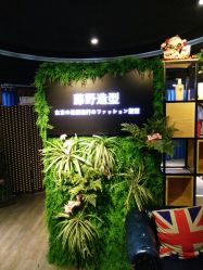 点击看大图 -藤野造型