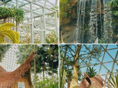 -上海辰山植物园