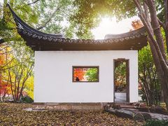 -秋霞圃