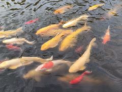 -济南马套将军山