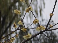 -成飞公园