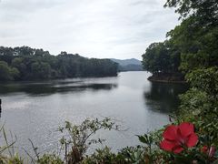 -红花湖景区