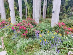 -深圳仙湖植物园