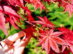 -南京市江宁方山