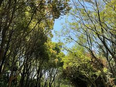 -蠡湖大桥公园