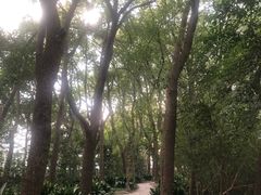 -宋庆龄陵园