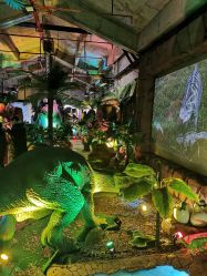 -恐龙探索乐园(磁器口店)