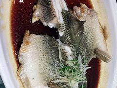 -紫光园·烤鸭·北京菜(劲松店)