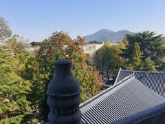 -鸡鸣赐茶(鸡鸣寺路店)