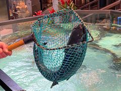 -鱼痴渔醉·食鲜集(汉口江滩店)