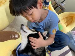 -逗柴咖啡屋·狗咖猫咖宠物桌游