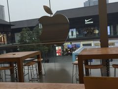 -Apple零售店(成都太古里店)