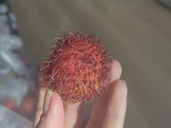 -南门绿玉农贸市场