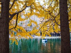 -上海共青森林公园