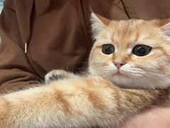 -元气寿司(金光华店)