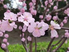 -钓鱼台国宾馆