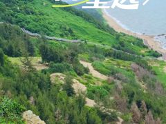 -广东茂名森林公园