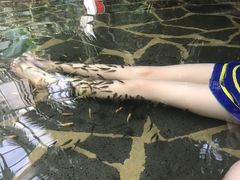 -龙达温泉生态城