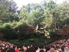 -新加坡飞禽公园