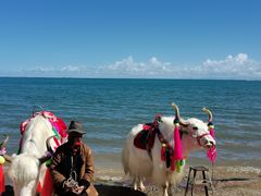 -青海湖国家重点风景名胜区