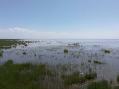 -青海湖仙女湾景区
