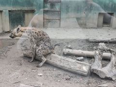 -天津市动物园